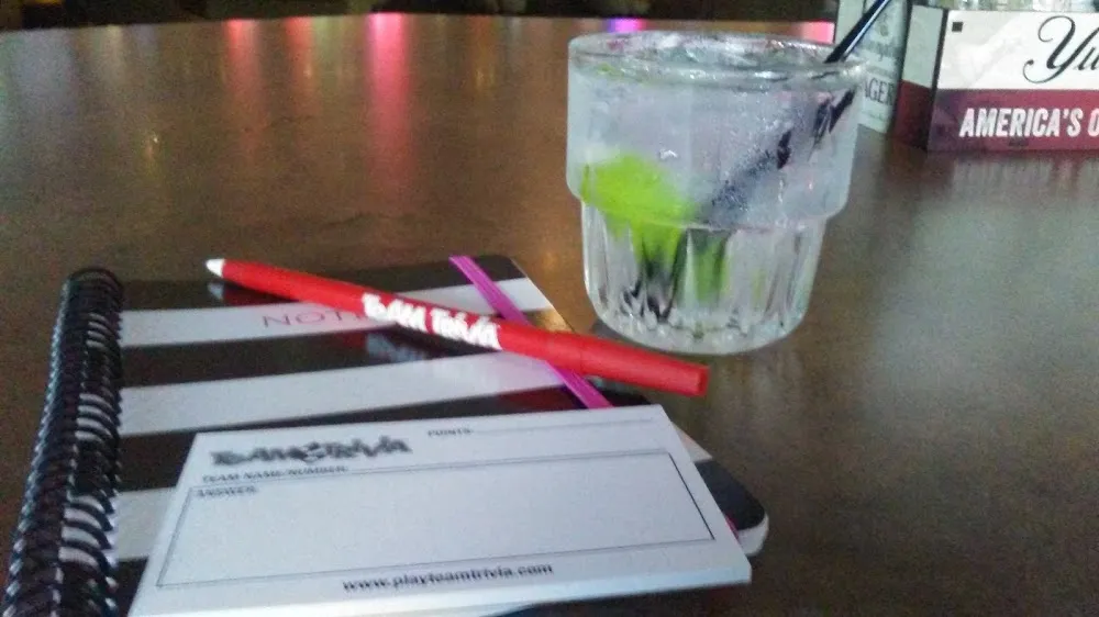 Bombay Sapphire and Tonic